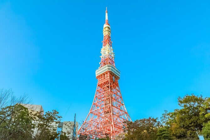 Discover Tokyo, Private Customized Tour with Expert Guides - Stop 2: Takeshita Street (and Omotesando Area), 50 Minutes