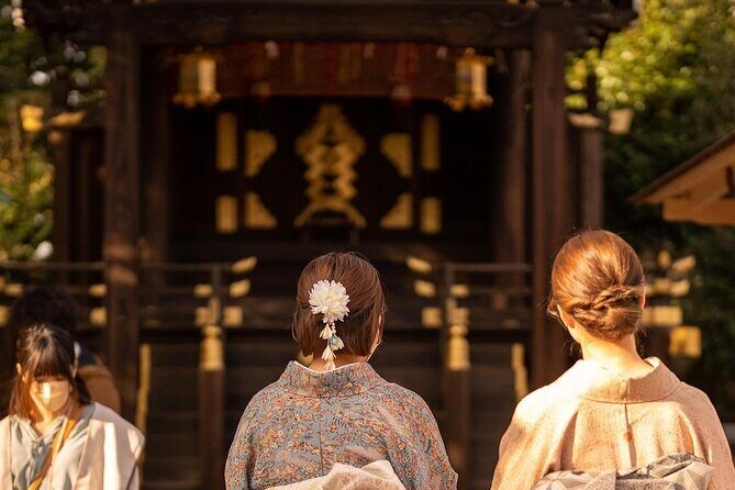 Discovering Kyoto A Tailored Private Tour of the City's Treasures - Key highlights you’ll feel on the day
