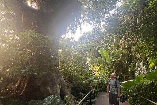 E-Bike Nature Tour in Shuri - Key takeaways before you pedal