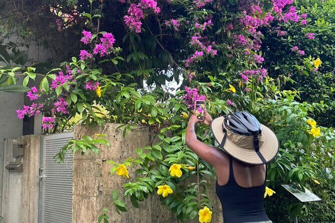 E-Bike Nature Tour in Shuri - Weather, routing, and what you should wear