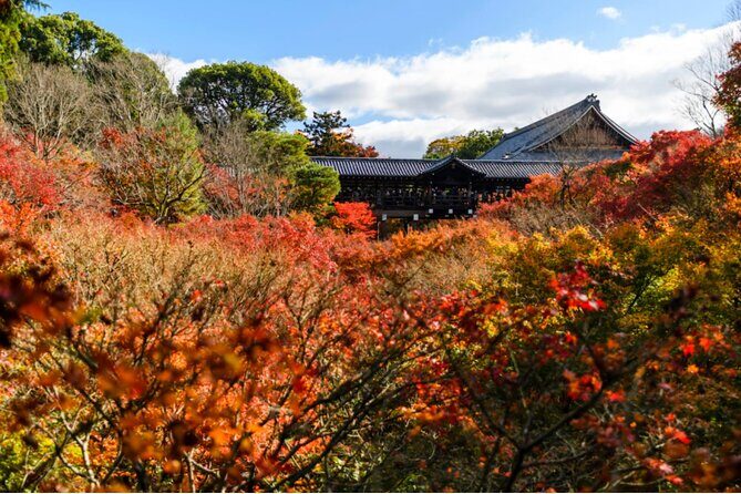 Early Bird E-biking through East Kyoto - Value Check: Is $138.74 Fair for 6–7 Hours?