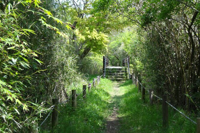 Easygoing Nature Walk in Hakone Tour - Key highlights to decide fast