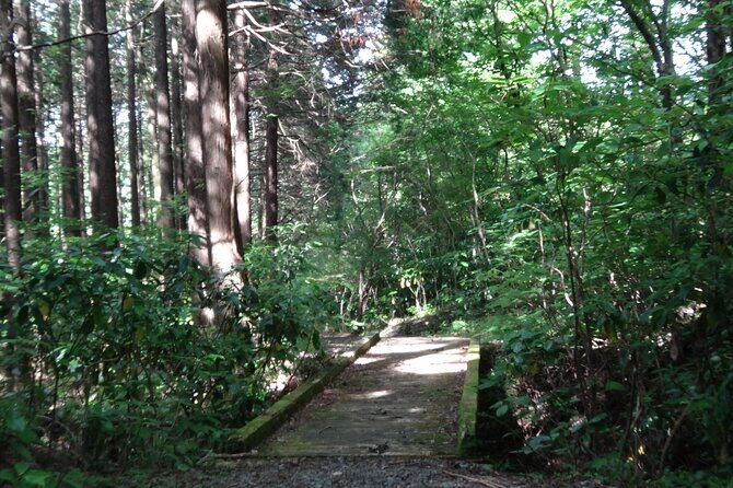 Easygoing Nature Walk in Hakone Tour - Stop 3: Hakone Visitor Center for trails and English help