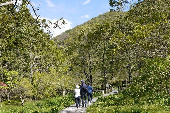 Easygoing Nature Walk in Hakone Tour - What to bring and what to wear on a flat walk