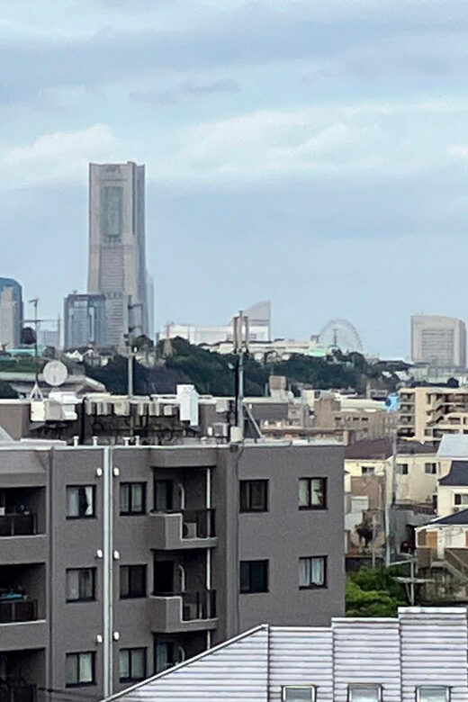 Eat like a local in Yokohama - with a Local Expert Guide! - Key Points You’ll Care About