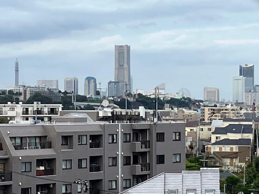 Eat like a local in Yokohama - with a Local Expert Guide! - How the 4 Hours Actually Feel (Between Bites)