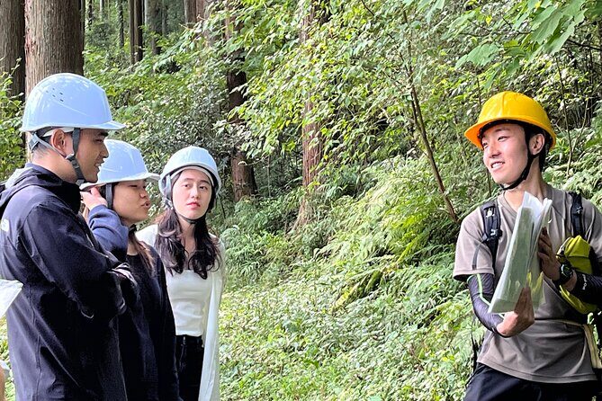 Ecotourism and Woodcraft with a Mountain Artist Near Tokyo - A fast nature reset from Tokyo: Hanno and the forest day rhythm