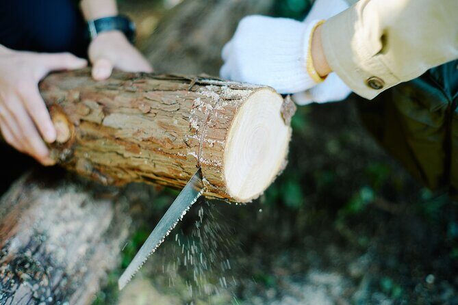Ecotourism and Woodcraft with a Mountain Artist Near Tokyo - Finding the start point: Higashi-Agano Station to Kirari