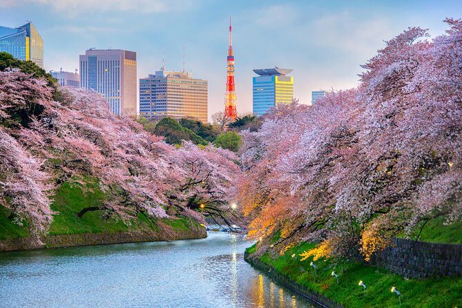 [electric bicycle tour]: 6-hour travel course by electric bicycle Asakusa, Ueno Park, Edo-Tokyo Museum, and Sky Tree. (There is a support car.) - Senso-ji and Kaminarimon: The Part You’ll Want Photos From