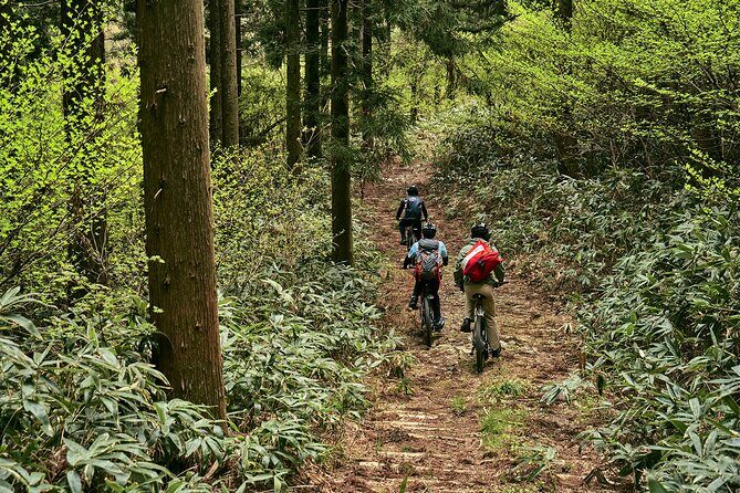 eMTB tour to see the beautiful islands from the summit - What the trail and final push demand from your body