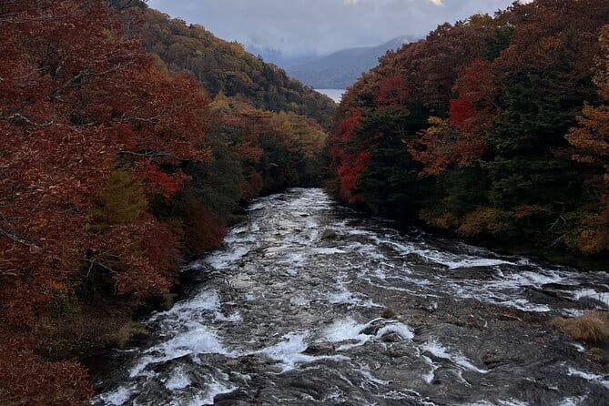 English-speaking guided day tour of Nikko with a private vehicle - Nikko Tōshō-gū: where the details matter, and the ticket fee matters too