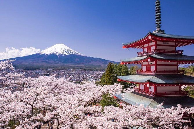 Enjoy Mt. Fuji View and free time shopping at Gotemba Outlets! - Key Highlights That Matter (Not Just Buzzwords)