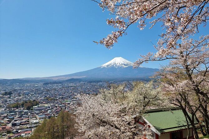 Enjoy Mt. Fuji View and free time shopping at Gotemba Outlets! - Lake Kawaguchi at Oishi Park: Flowers, Soft Cream, and the View You Came For