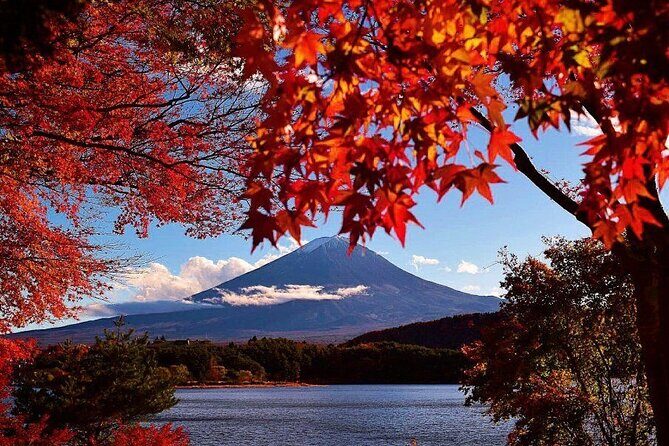Enjoy Mt. Fuji View and free time shopping at Gotemba Outlets! - The Human Part: Why the Day Feels Smooth When It Works