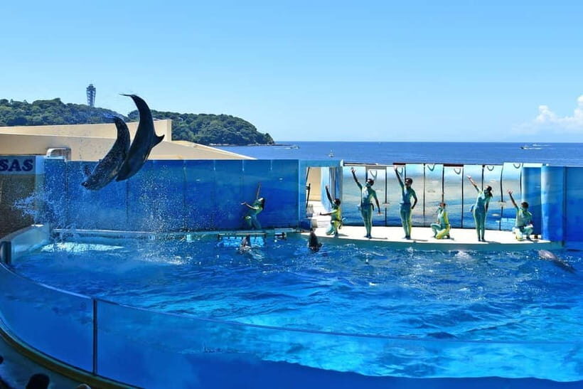 Enoshima Aquarium: Admission Ticket - Key things I’d plan for before you go