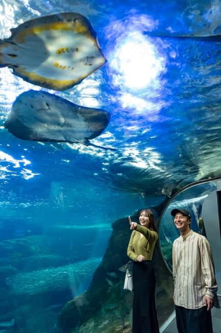 Enoshima Aquarium: Admission Ticket - One-day Enoshima Aquarium: what your $18 ticket really gets you