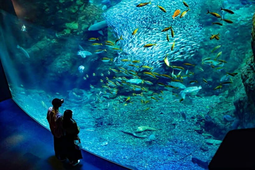 Enoshima Aquarium: Admission Ticket - The exhibit route: Sagami Bay to jellyfish to the deep ocean