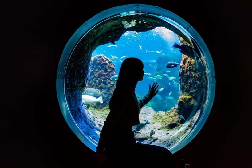 Enoshima Aquarium: Admission Ticket - Entering from the stations: how to get there without stress