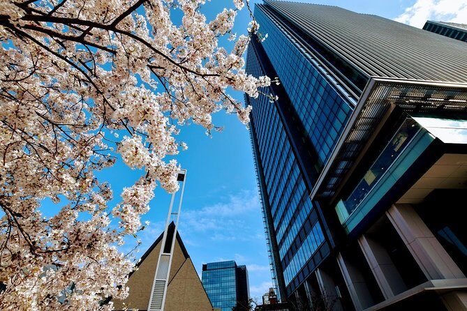 Essential tour for fashion and art in Tokyo for 6 hours with local lunch - Who this Tokyo private fashion-and-art tour is for