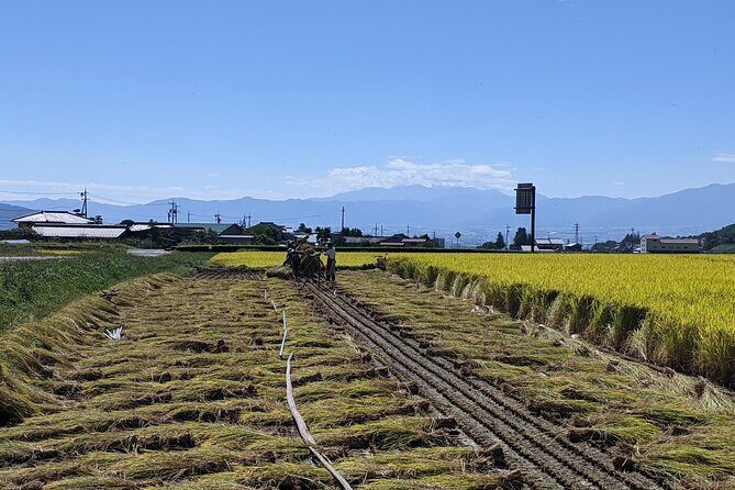 eTour de Matsumoto - Electric Bike Tour - Asama-Onsen Village: A Cultural Pause Built Around Natural Hot Springs