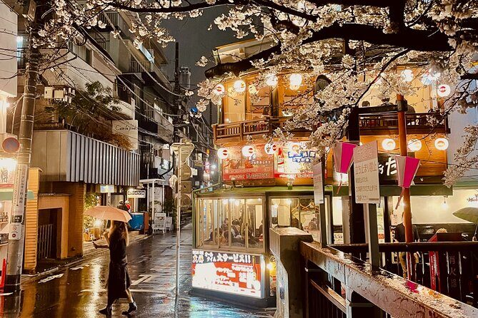 Exciting Evening of Eats in Tokyo - Who Should Book This Tokyo Food Evening