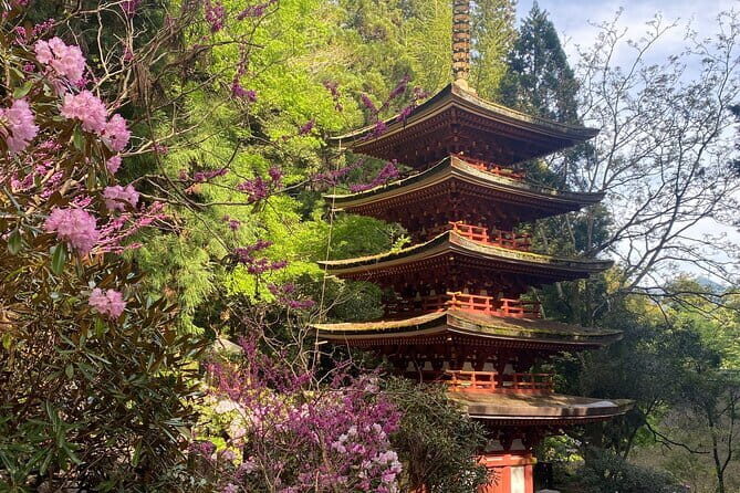 Exclusive Luxury Day Tours Serene Nara - Why this Nara tour works better than DIY