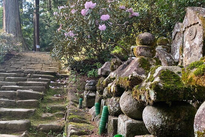 Exclusive Luxury Day Tours Serene Nara - Nara National Museum: when you want the context