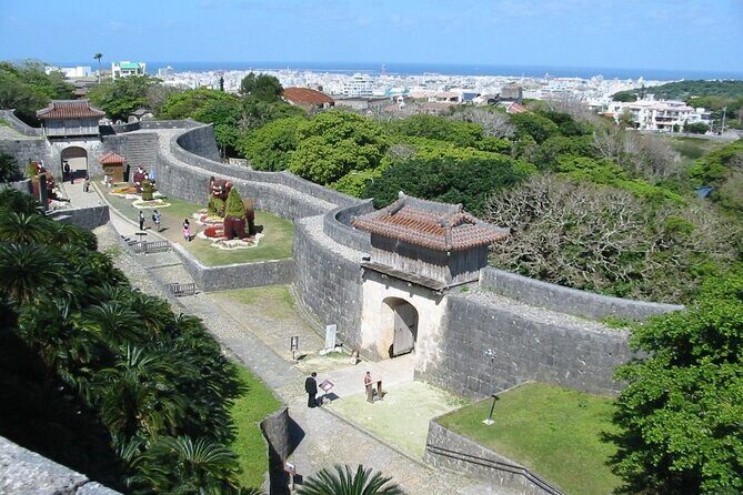Exclusive Private Full Day Okinawa Island Tour with a Local Guide - Price and costs: what $470 per group really covers
