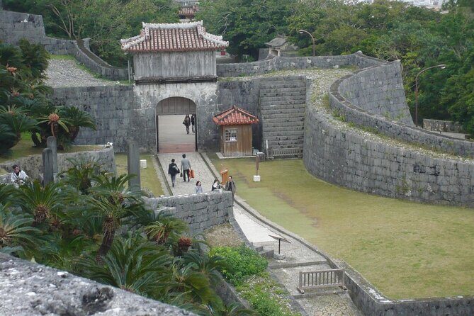 Exclusive Private Full Day Okinawa Island Tour with a Local Guide - What the best guides do (with names you can look for)