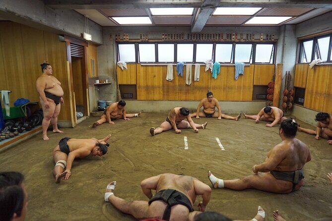 Exclusive Sumo Morning Practice in Tokyo with Photo Opportunity - What You’ll See During Sumo Morning Training