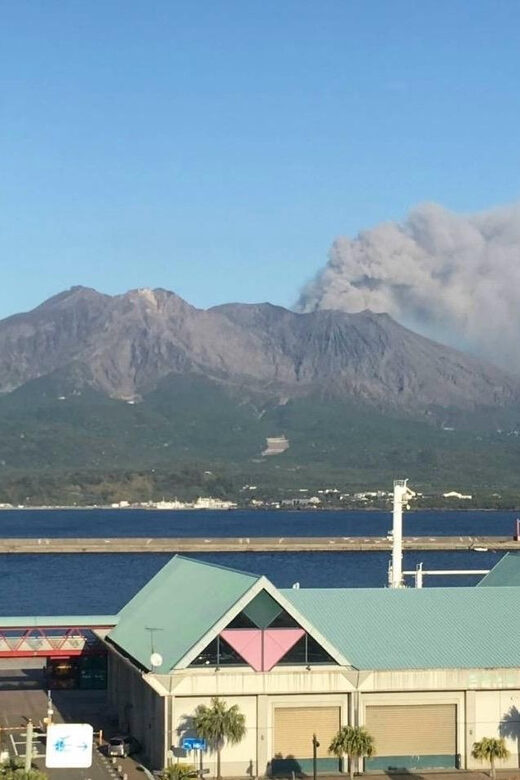 Experience about the blessings of the earth in Sakurajima. - Who this Sakurajima tour is best for