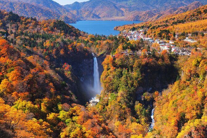 Experience Nature and Culture Private Day Tour in Nikko - Why Nikko is a great day trip from Tokyo