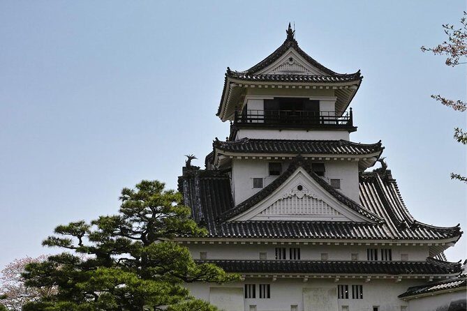 Experience the energy of Kochi: Sunday Market Tour includes Kochi Castle - Key highlights I think are worth your attention