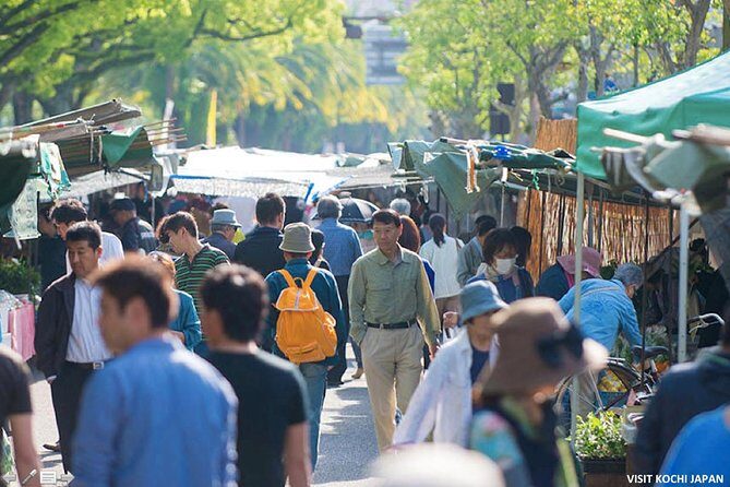 Experience the energy of Kochi: Sunday Market Tour includes Kochi Castle - Hirome Ichiba: the best way to eat in a hurry (without missing quality)