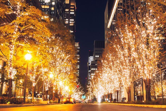 Experience the Magic of Christmas in Tokyo - Marunouchi Illuminations: the champagne-gold tree-lined wow