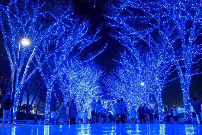 Experience the Magic of Christmas in Tokyo - Jingu Gaien ginkgo street and the Tokyo Christmas Market vibe