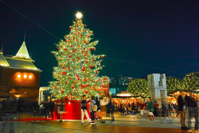 Experience the Magic of Christmas in Tokyo - Omotesando’s zelkova-lined holiday look