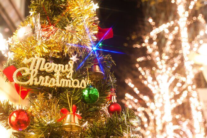 Experience the Magic of Christmas in Tokyo - Luxury pickup and staying on schedule in winter
