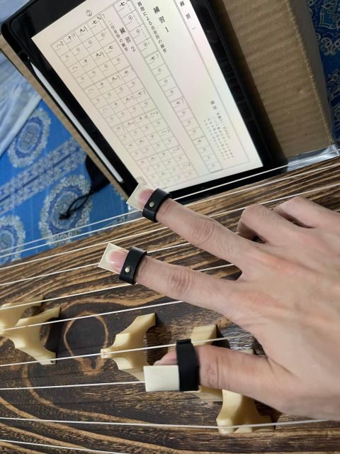 Experience the Soul of Hiroshima: A Peaceful Koto Workshop - Hiroshima peace, translated into strings