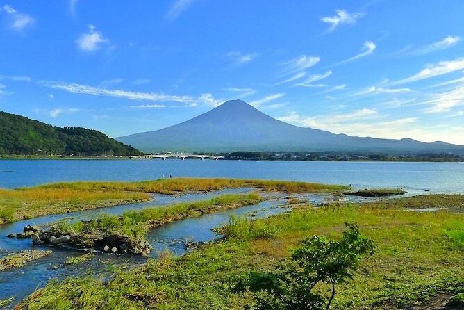 Experience the Stunning Nature of Mt.Fuji - Private Tour - Lake Saiko’s Calm, Iyashi no Sato’s Traditional Village Walk