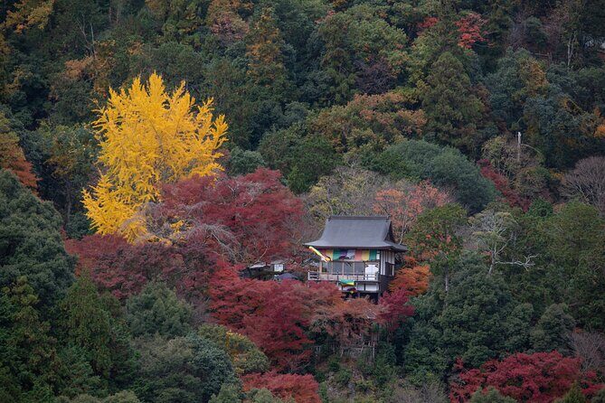 Explore Arashiyama Bamboo Forest with Authentic Zen Experience - Key things to know before you go