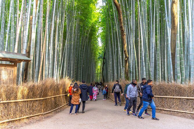 Explore Arashiyama Bamboo Forest with Authentic Zen Experience - Why this Arashiyama Bamboo Forest tour feels different from the usual walk