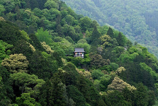 Explore Arashiyama Bamboo Forest with Authentic Zen Experience - Stop 5: Randen Keifuku Arashiyama Station, Kimono Forest, and a relaxing foot bath (about 1 hour)