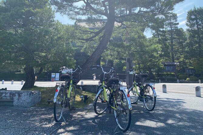 Explore Hidden Kyoto by E-Bike: Private, Scenic & Fun - Shimogamo Jinja: an ancient forest shrine that feels like a reset