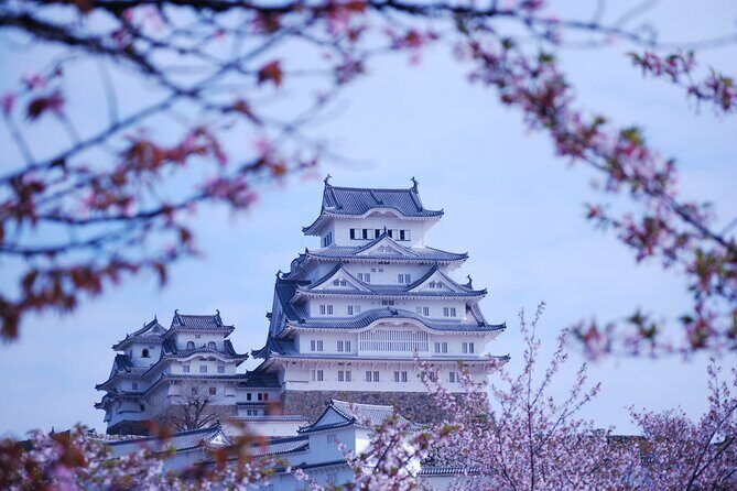 Explore Himeji Castle a Guided Walking Tour - Why Himeji Castle feels different with a guide