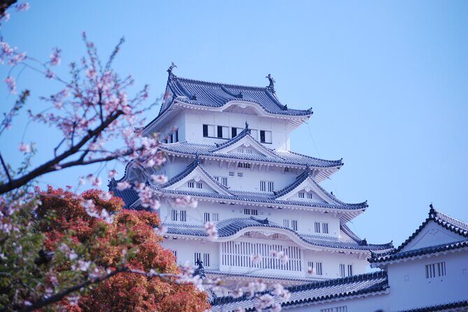 Explore Himeji Castle a Guided Walking Tour - The WWII survival story and the anecdotes that stick