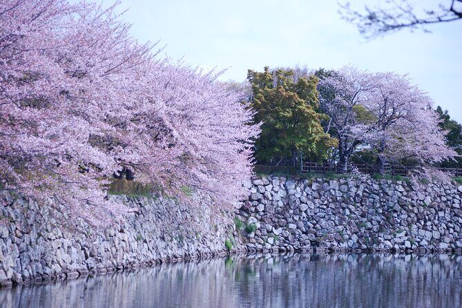 Explore Himeji Castle a Guided Walking Tour - Price and value: is $69.71 worth it?
