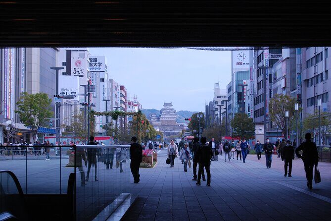 Explore Himeji Castle a Guided Walking Tour - Who should book this tour (and who should think twice)