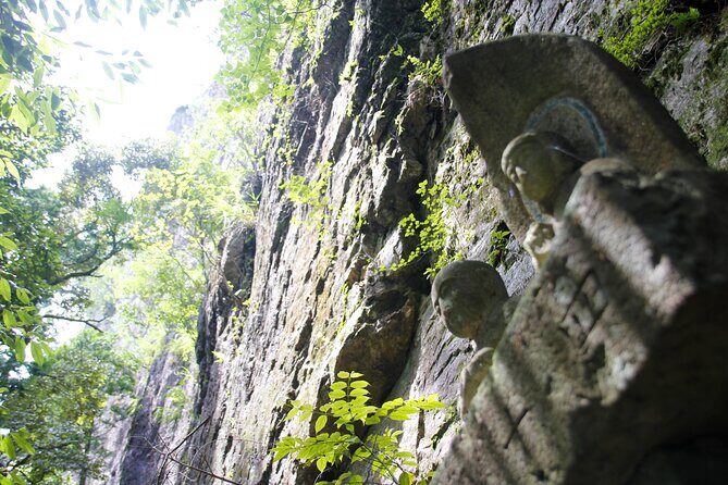 Explore Holy Mt Horaiji Private Tour - Kasasugi tree and the old temple main road: details you’ll remember