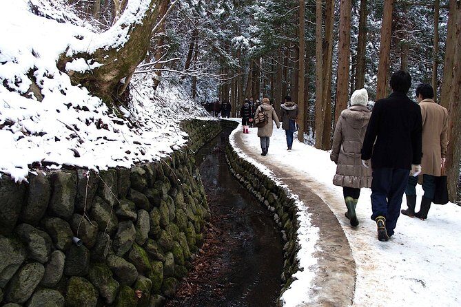Explore Jigokudani Snow Monkey Park with a Local Guide - Jigokudani Snow Monkey Park: How to enjoy the walk and the close-ups